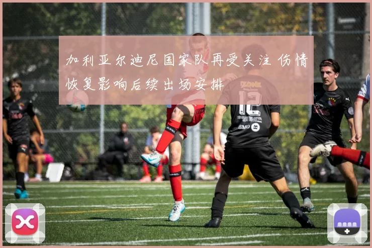 加利亚尔迪尼国家队再受关注 伤情恢复影响后续出场安排