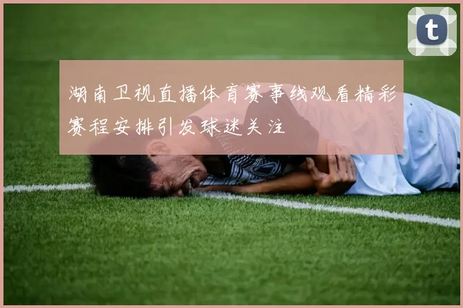湖南卫视直播体育赛事线观看精彩赛程安排引发球迷关注