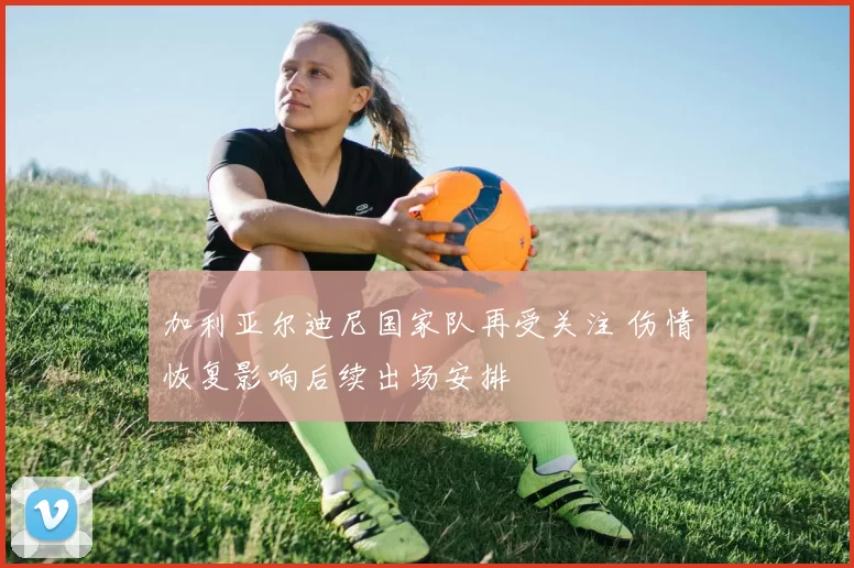 加利亚尔迪尼国家队再受关注 伤情恢复影响后续出场安排