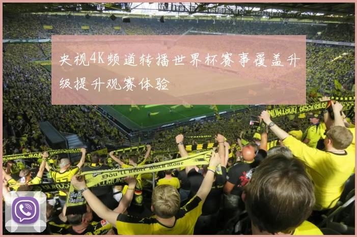 央视4K频道转播世界杯赛事覆盖升级提升观赛体验