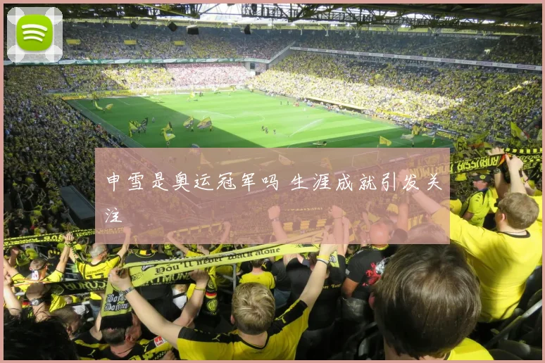 申雪是奥运冠军吗 生涯成就引发关注